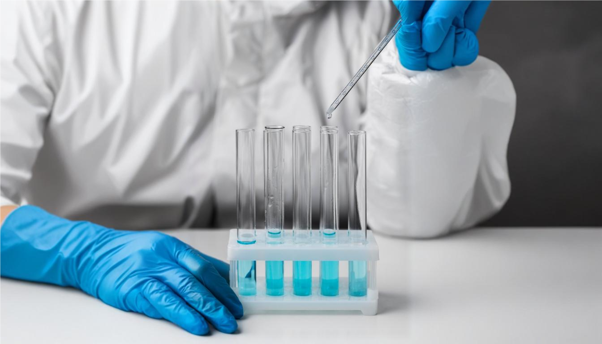 Study Shows Broader Screening Methods Help Prevent Spread of Dangerous Fungal Pathogen in Hospitals