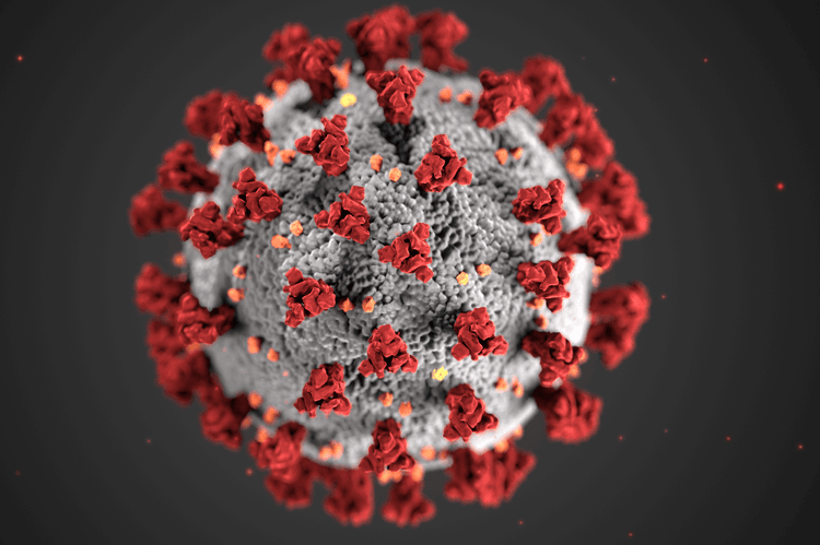 To Eliminate COVID-Era Bloodstream Infections in Heart, Lung Patients, Tampa Hospital Had to Innovate